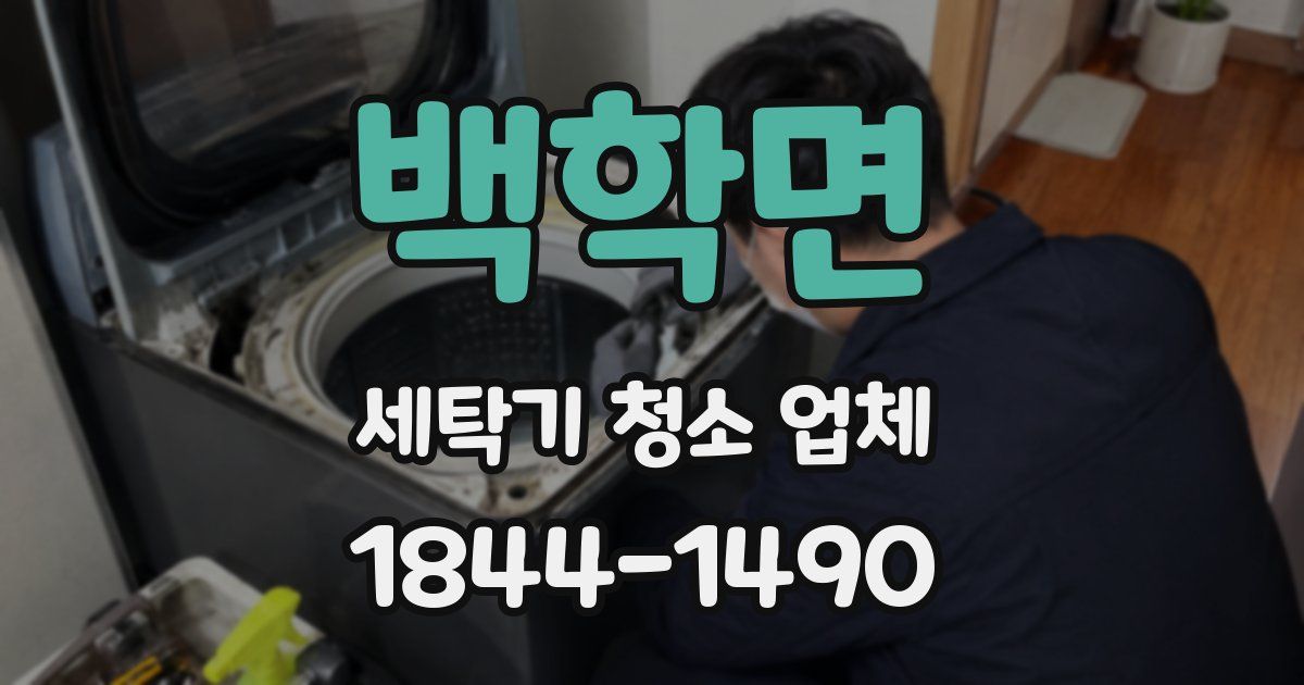 백학면 세탁기 청소 업체