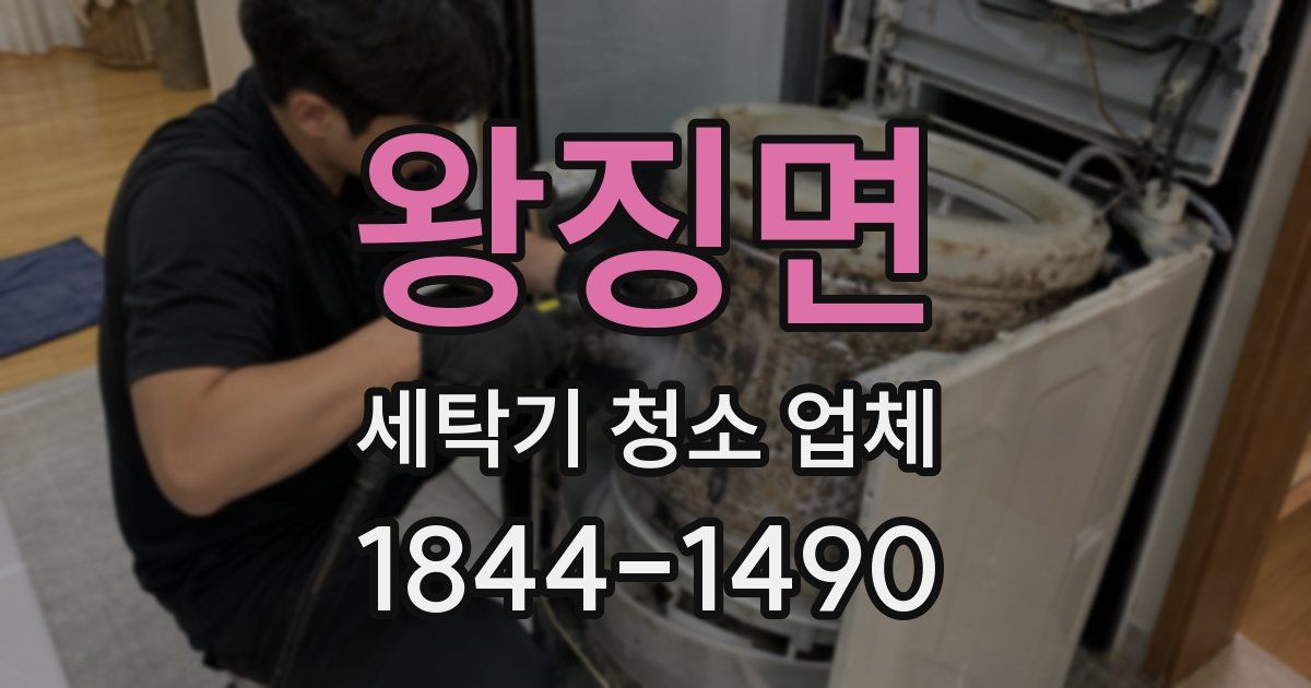왕징면 세탁기 청소 업체