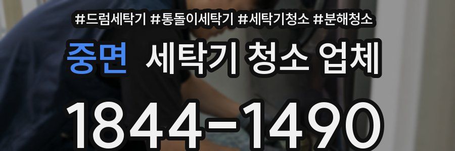 중면 세탁기 청소 업체