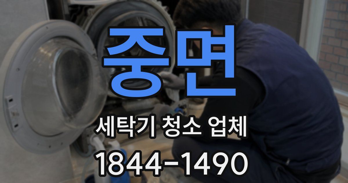 중면 세탁기 청소 업체