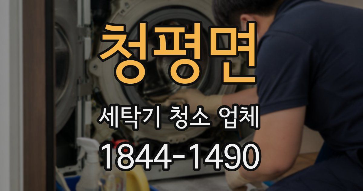 청평면 세탁기 청소 업체