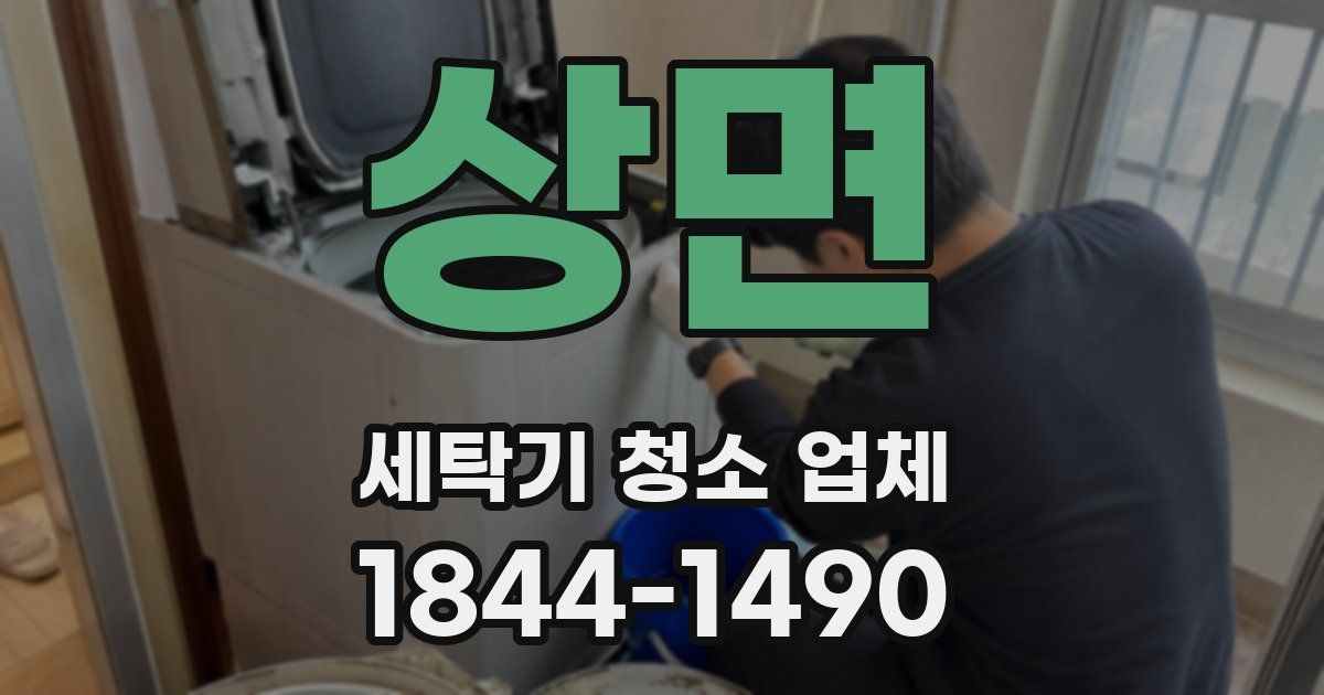 상면 세탁기 청소 업체