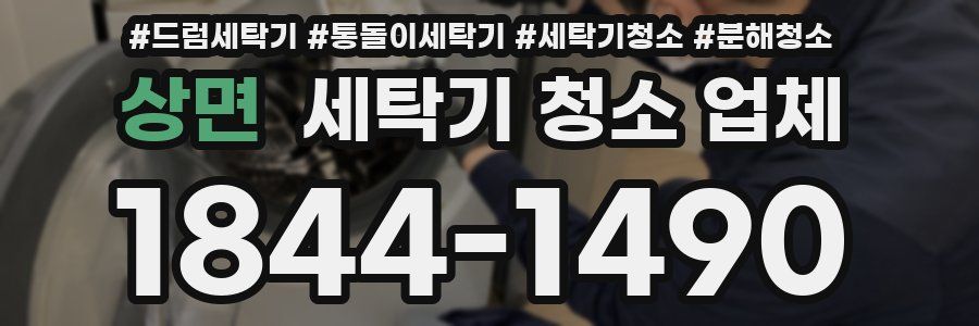 상면 세탁기 청소 업체