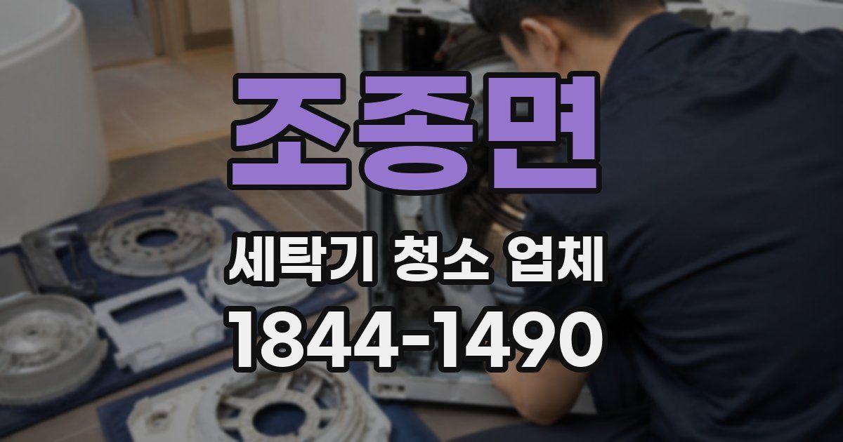 조종면 세탁기 청소 업체