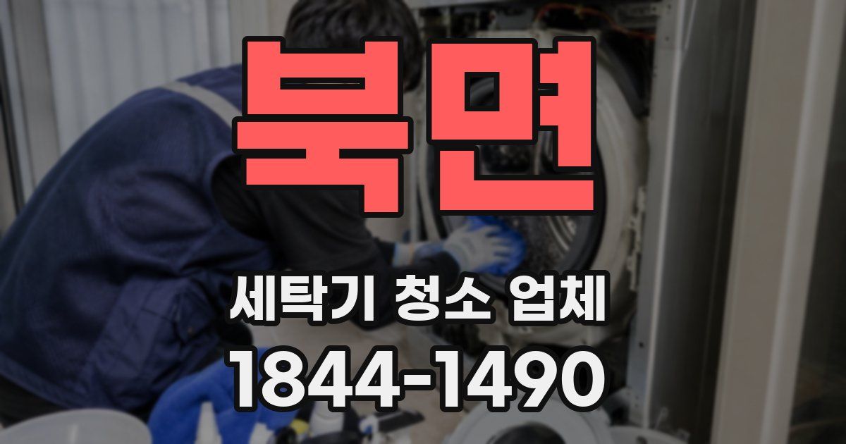 북면 세탁기 청소 업체