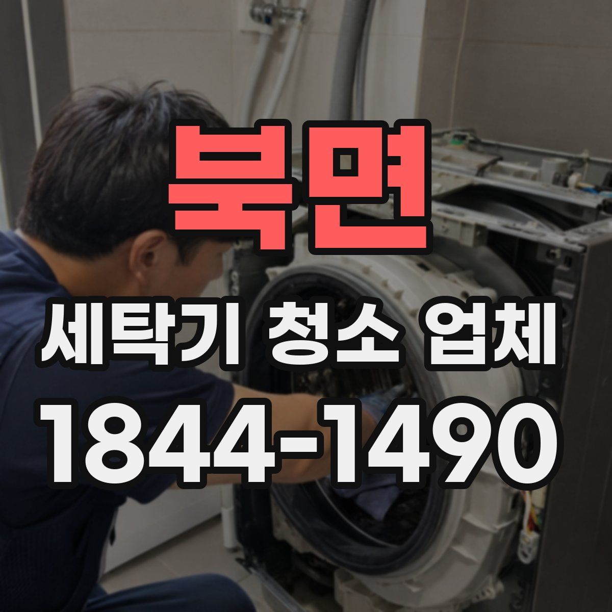 북면 세탁기 청소 업체