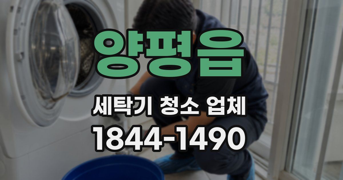 양평읍 세탁기 청소 업체