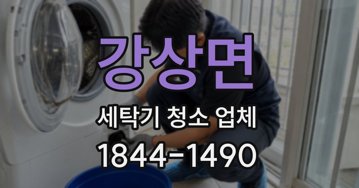강상면 세탁기 청소 업체