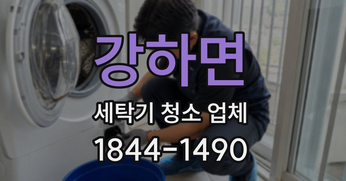 강하면 세탁기 청소 업체