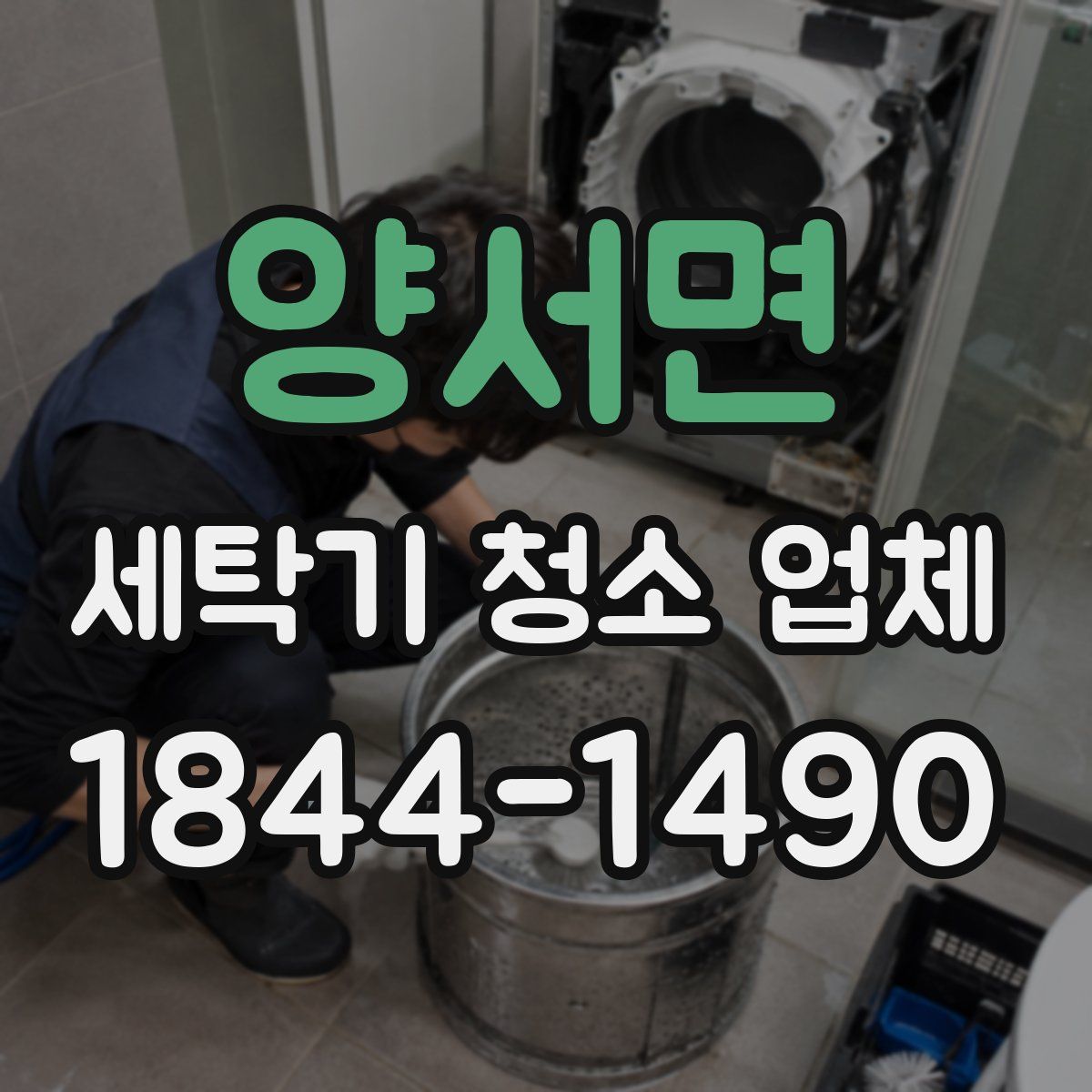 양서면 세탁기 청소 업체