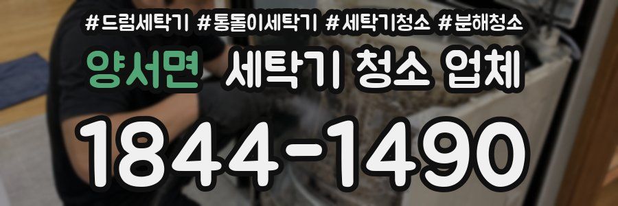 양서면 세탁기 청소 업체