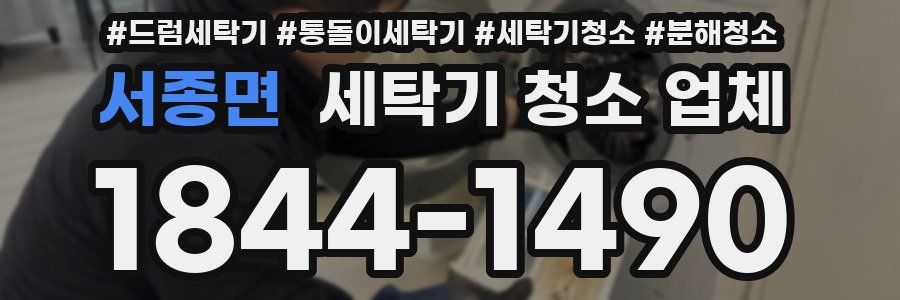 서종면 세탁기 청소 업체