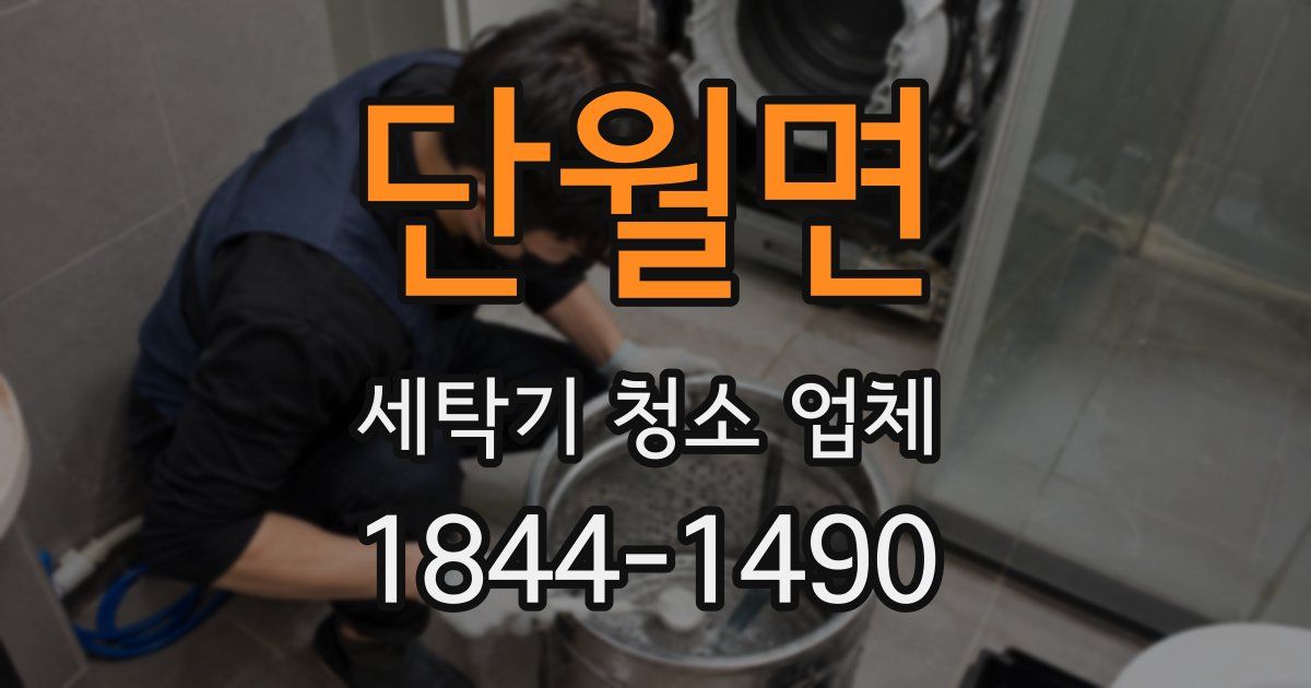 단월면 세탁기 청소 업체