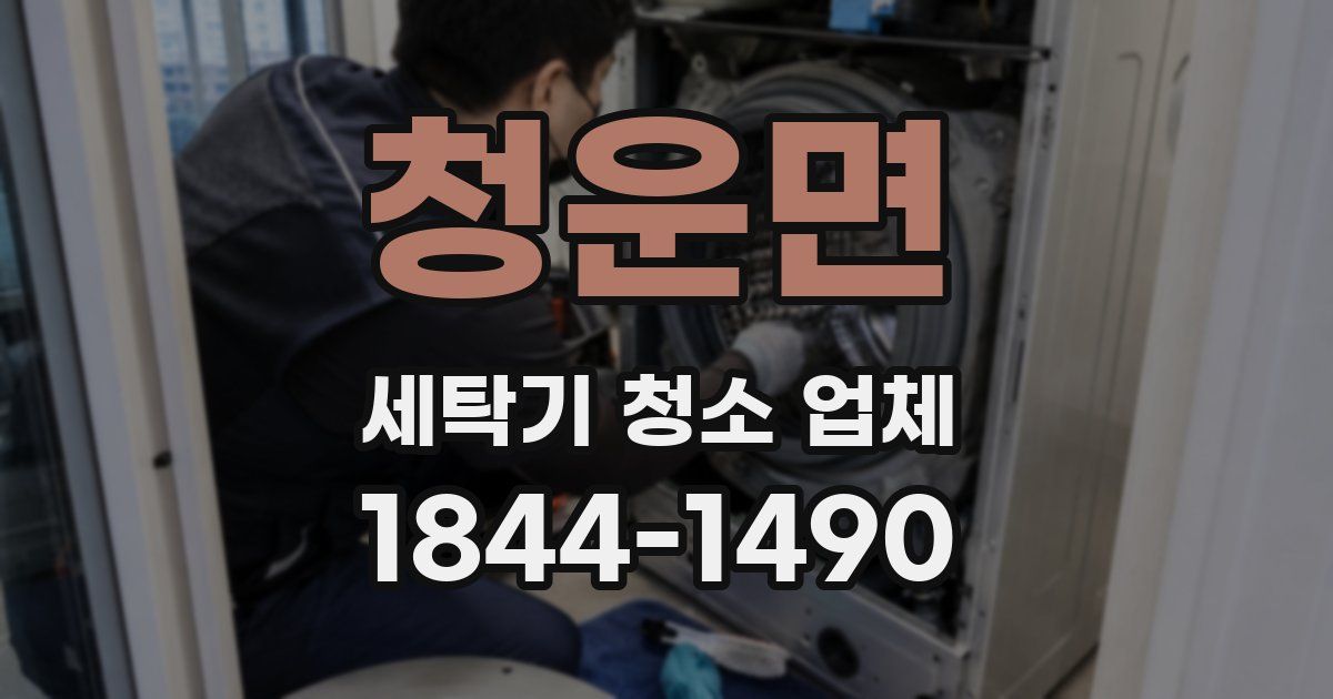청운면 세탁기 청소 업체
