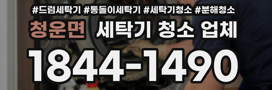 청운면 세탁기 청소 업체
