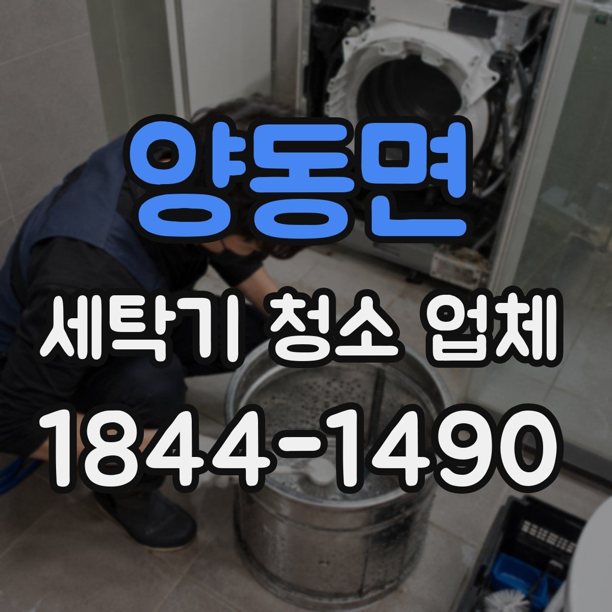 양동면 세탁기 청소 업체