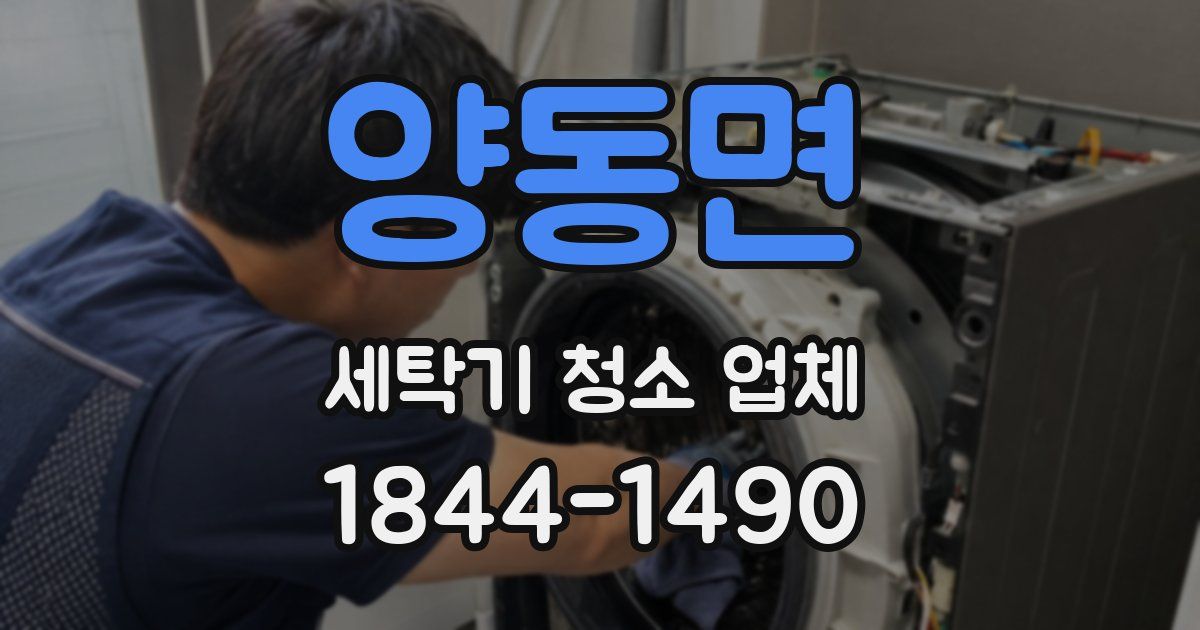 양동면 세탁기 청소 업체
