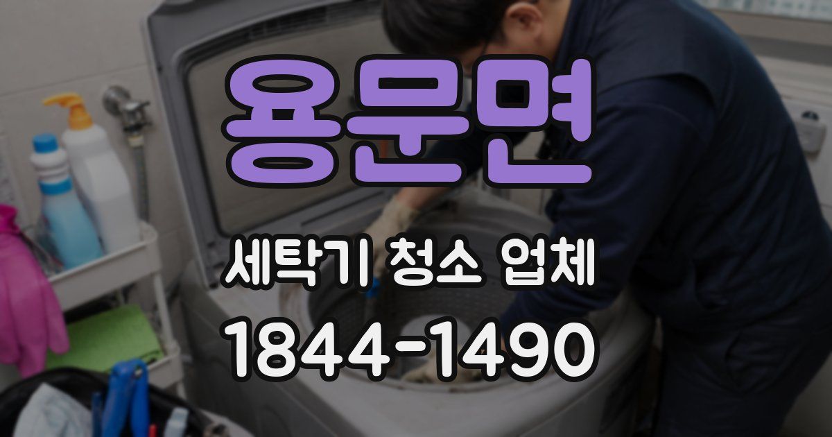 용문면 세탁기 청소 업체