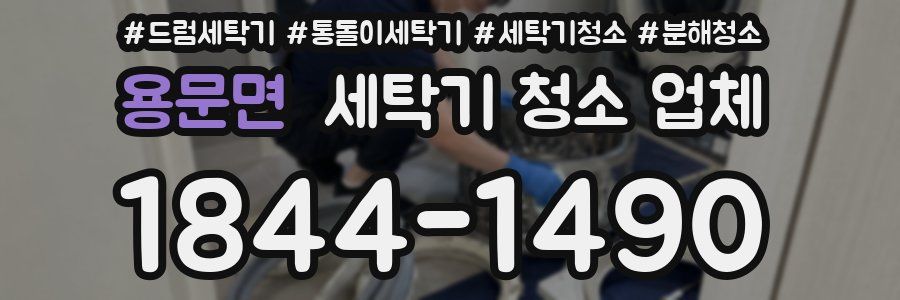 용문면 세탁기 청소 업체