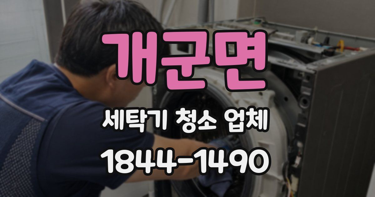 개군면 세탁기 청소 업체