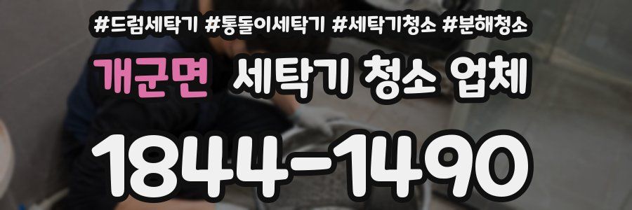 개군면 세탁기 청소 업체