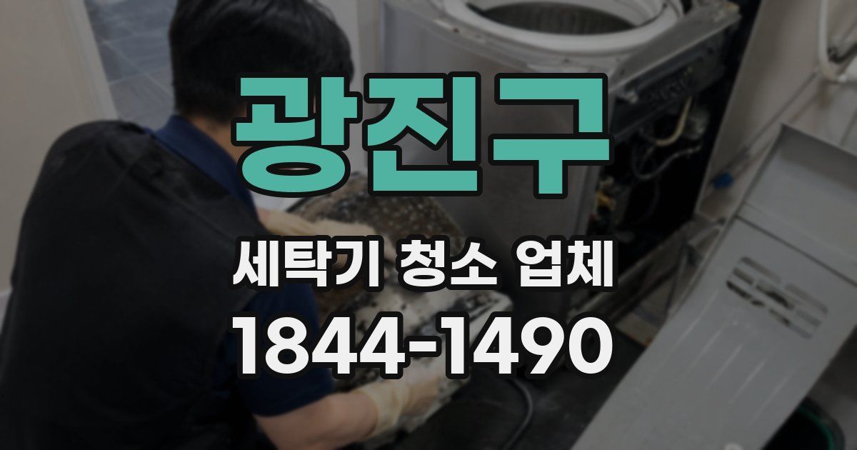 광진구 세탁기 청소 업체