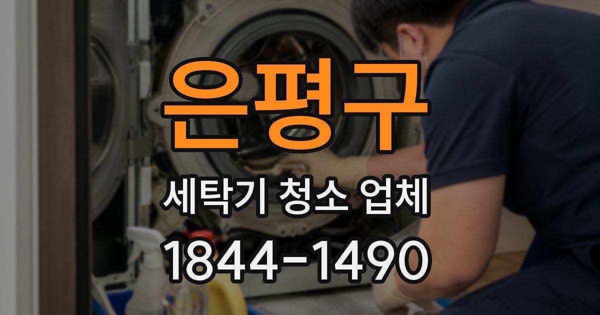 은평구 세탁기 청소 업체