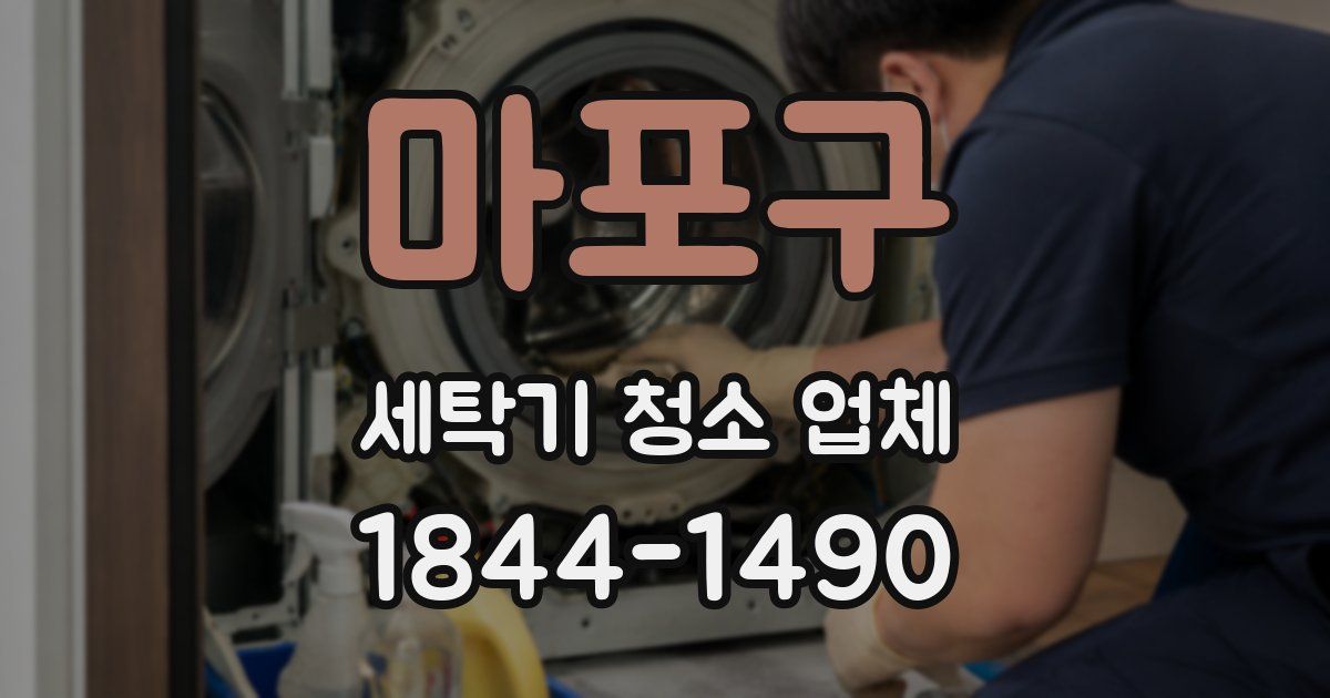 마포구 세탁기 청소 업체
