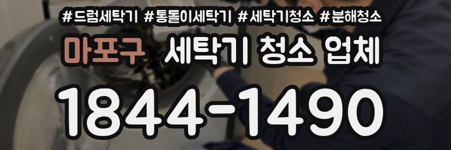마포구 세탁기 청소 업체