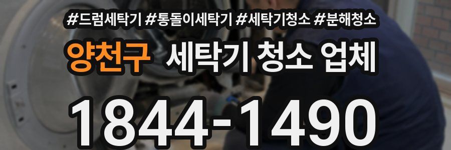 양천구 세탁기 청소 업체
