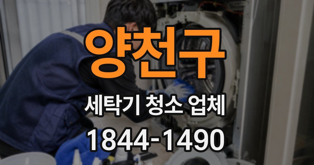 양천구 세탁기 청소 업체
