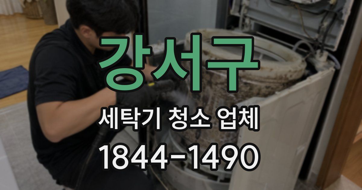 강서구 세탁기 청소 업체