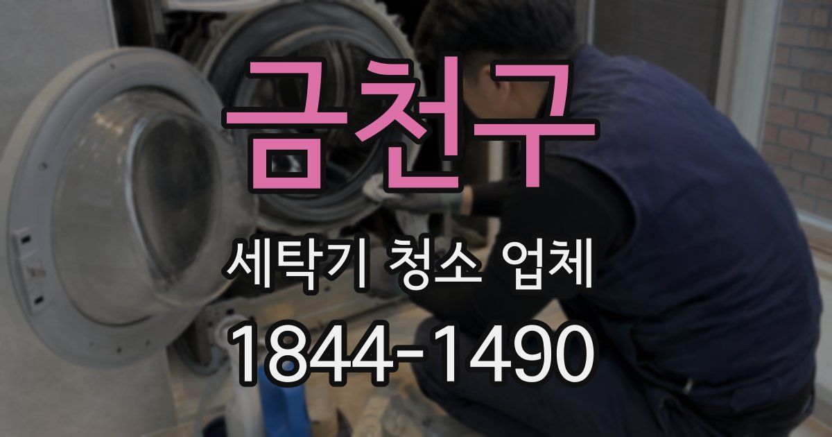 금천구 세탁기 청소 업체