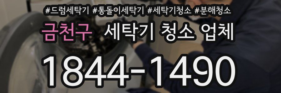 금천구 세탁기 청소 업체