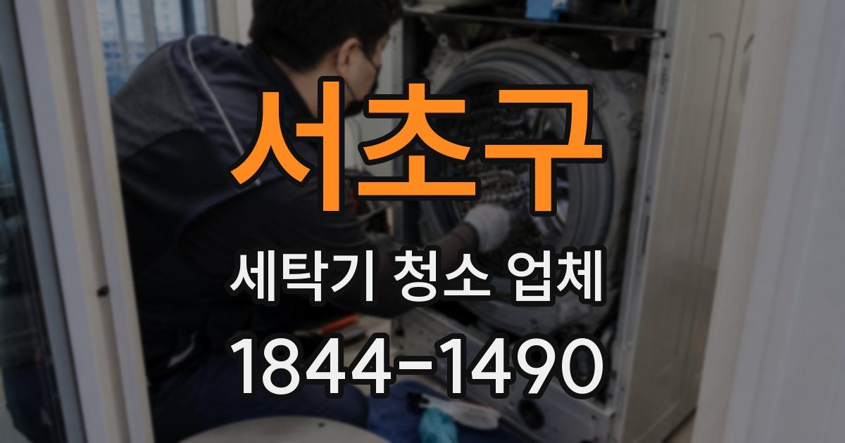 서초구 세탁기 청소 업체