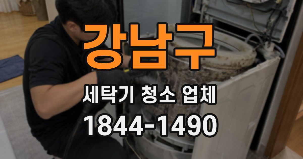 강남구 세탁기 청소 업체