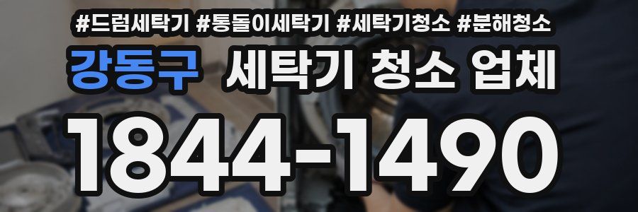 강동구 세탁기 청소 업체