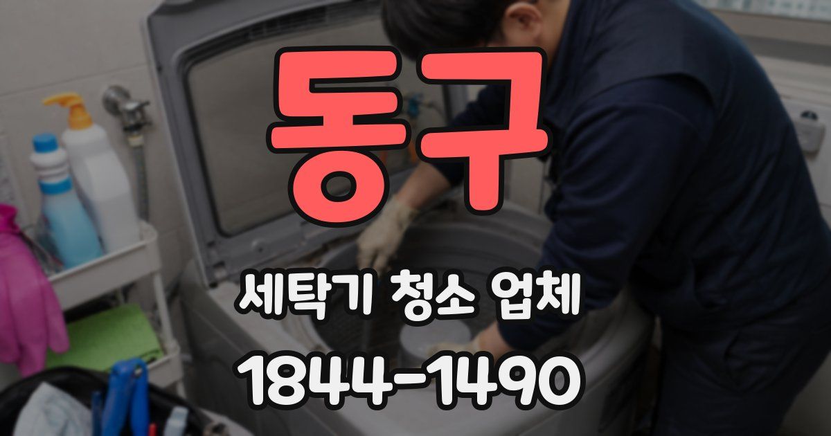 동구 세탁기 청소 업체