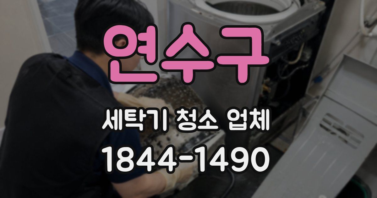 연수구 세탁기 청소 업체