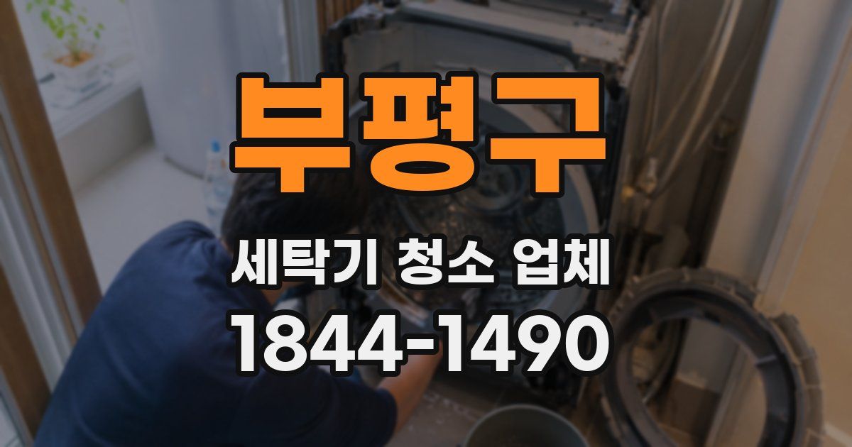 부평구 세탁기 청소 업체