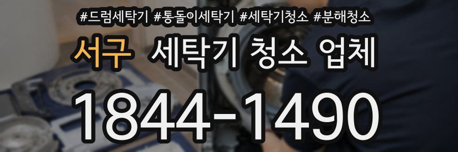 서구 세탁기 청소 업체