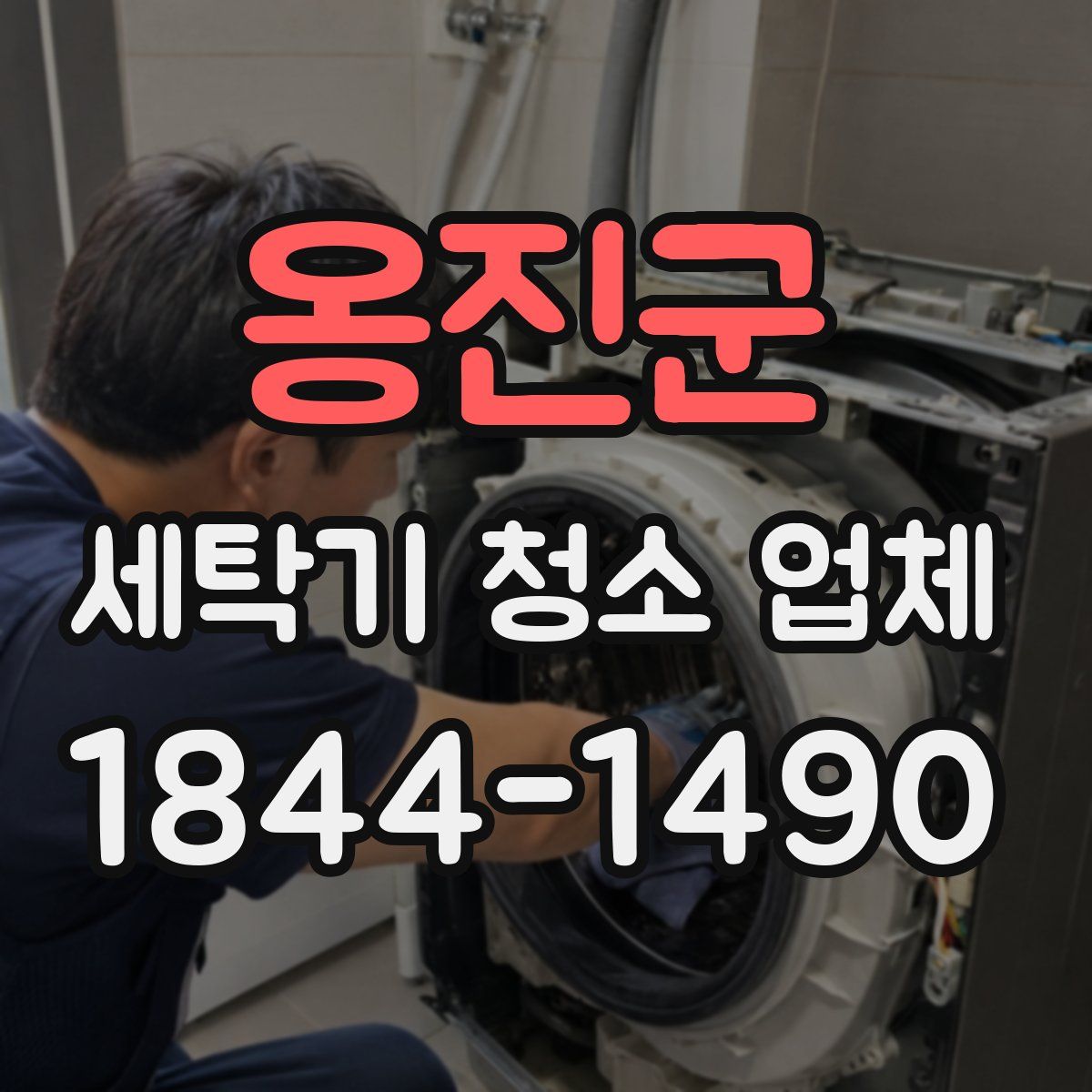 옹진군 세탁기 청소 업체