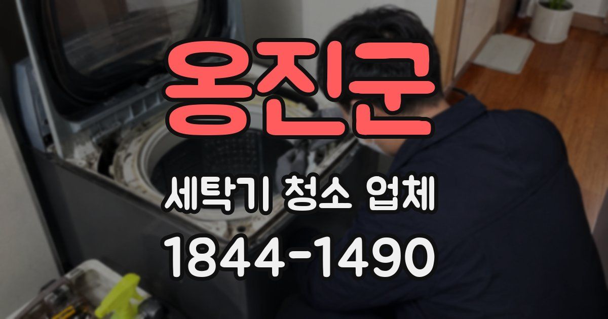 옹진군 세탁기 청소 업체