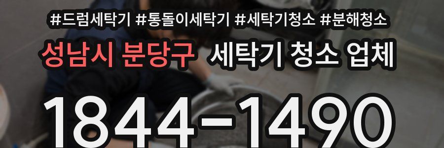 성남시 분당구 세탁기 청소 업체