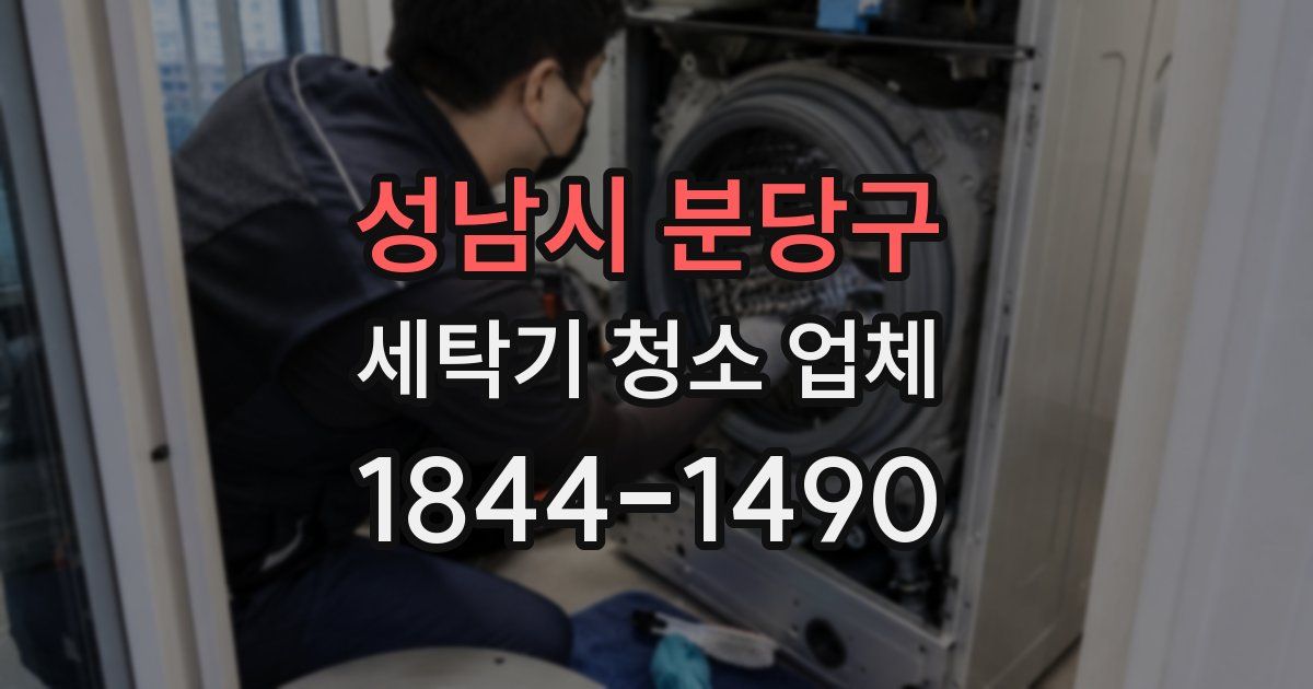성남시 분당구 세탁기 청소 업체