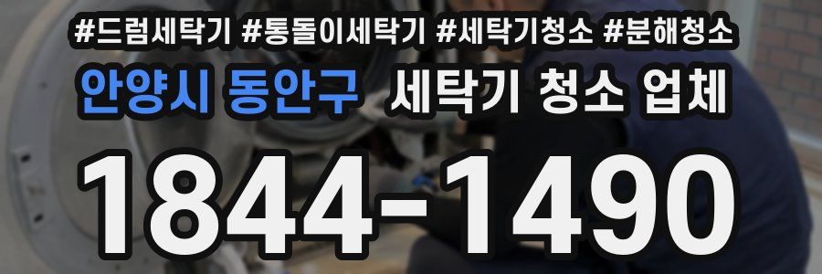 안양시 동안구 세탁기 청소 업체