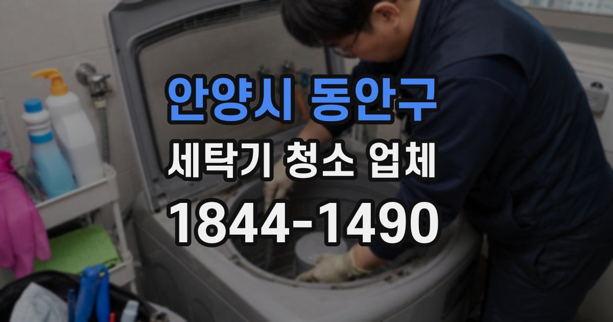 안양시 동안구 세탁기 청소 업체