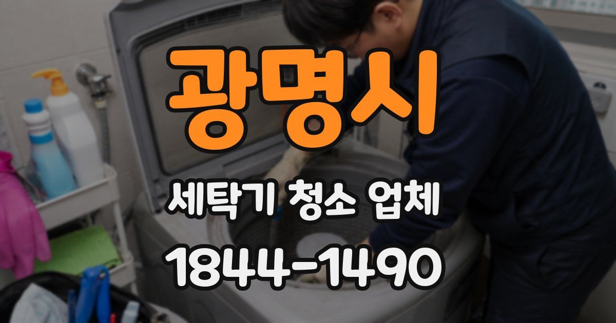 광명시 세탁기 청소 업체