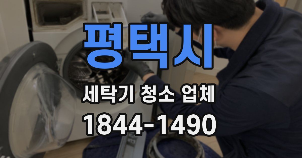 평택시 세탁기 청소 업체