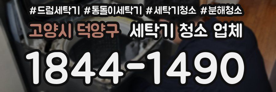 고양시 덕양구 세탁기 청소 업체